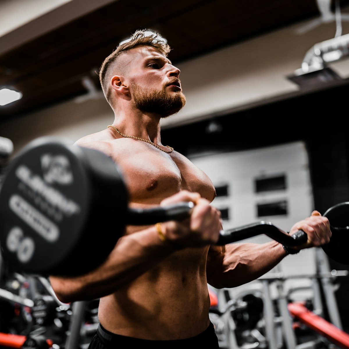 Muscle Building Blueprint